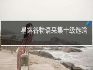 星露谷物语采集十级选啥