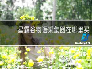 星露谷物语采集器在哪里买