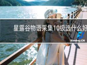 星露谷物语采集10级选什么好