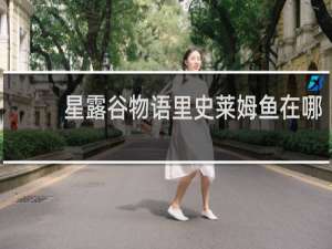 星露谷物语里史莱姆鱼在哪