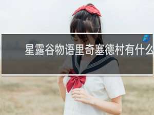 星露谷物语里奇塞德村有什么
