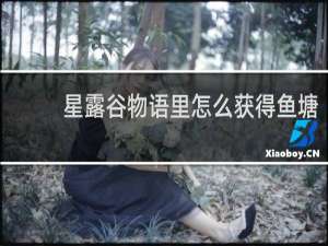 星露谷物语里怎么获得鱼塘