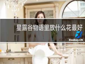 星露谷物语里放什么花最好