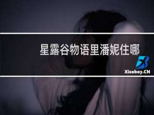 星露谷物语里潘妮住哪