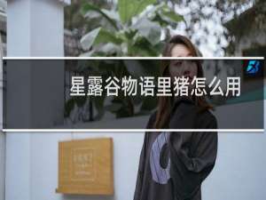 星露谷物语里猪怎么用