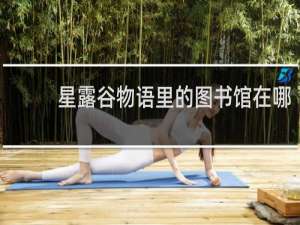 星露谷物语里的图书馆在哪