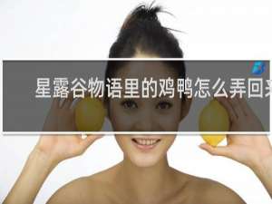 星露谷物语里的鸡鸭怎么弄回来