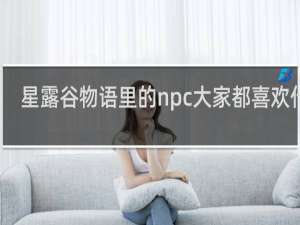 星露谷物语里的npc大家都喜欢什么