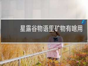 星露谷物语里矿物有啥用