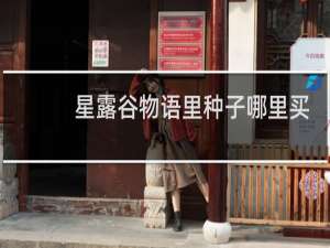 星露谷物语里种子哪里买