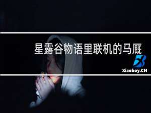 星露谷物语里联机的马厩