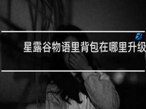 星露谷物语里背包在哪里升级