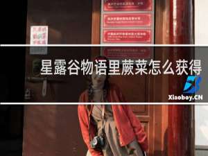 星露谷物语里蕨菜怎么获得