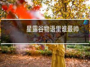 星露谷物语里谁最帅