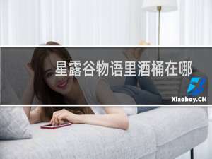 星露谷物语里酒桶在哪
