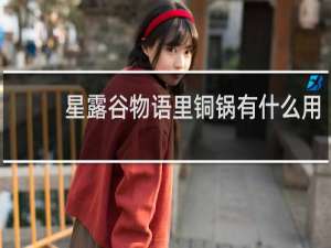 星露谷物语里铜锅有什么用