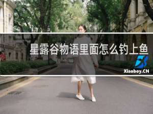 星露谷物语里面怎么钓上鱼