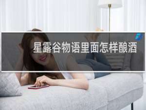 星露谷物语里面怎样酿酒