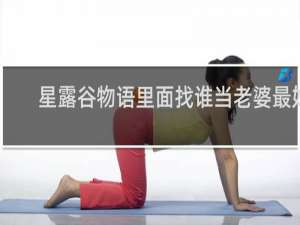 星露谷物语里面找谁当老婆最好