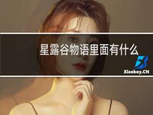 星露谷物语里面有什么
