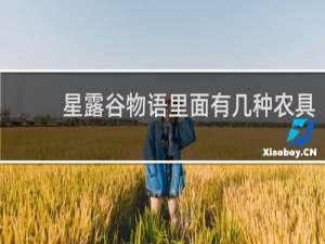 星露谷物语里面有几种农具