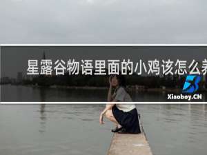 星露谷物语里面的小鸡该怎么养