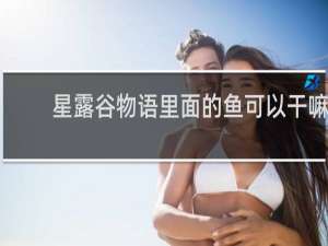 星露谷物语里面的鱼可以干嘛