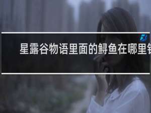 星露谷物语里面的鲟鱼在哪里钓