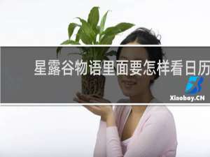星露谷物语里面要怎样看日历