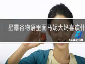 星露谷物语里面马妮大妈喜欢什么