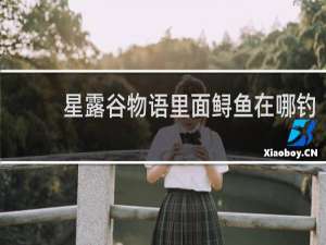 星露谷物语里面鲟鱼在哪钓