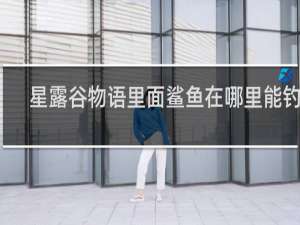 星露谷物语里面鲨鱼在哪里能钓到