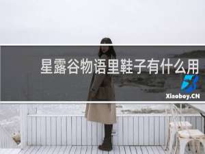 星露谷物语里鞋子有什么用