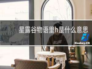 星露谷物语里h是什么意思
