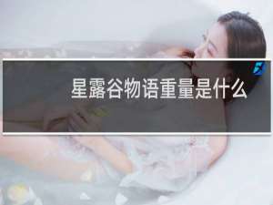 星露谷物语重量是什么