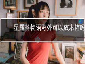 星露谷物语野外可以放木箱吗