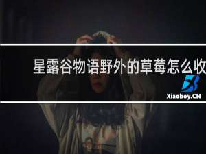 星露谷物语野外的草莓怎么收