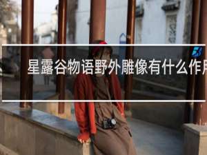 星露谷物语野外雕像有什么作用