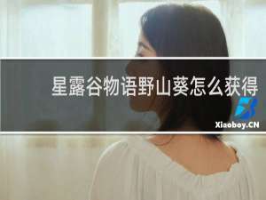 星露谷物语野山葵怎么获得