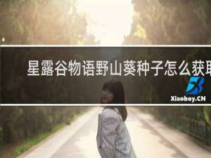星露谷物语野山葵种子怎么获取