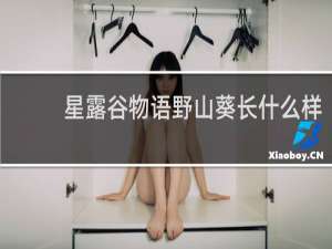 星露谷物语野山葵长什么样