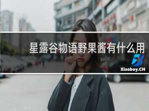 星露谷物语野果酱有什么用