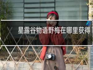 星露谷物语野梅在哪里获得