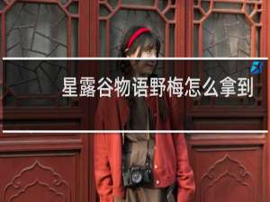 星露谷物语野梅怎么拿到