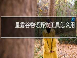 星露谷物语野炊工具怎么用