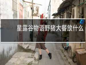 星露谷物语野猪大餐放什么