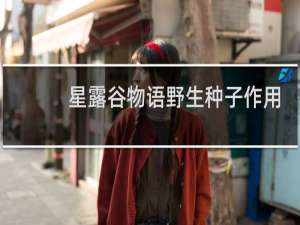 星露谷物语野生种子作用