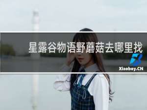 星露谷物语野蘑菇去哪里找