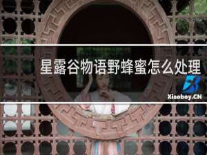 星露谷物语野蜂蜜怎么处理