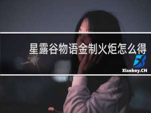 星露谷物语金制火炬怎么得
